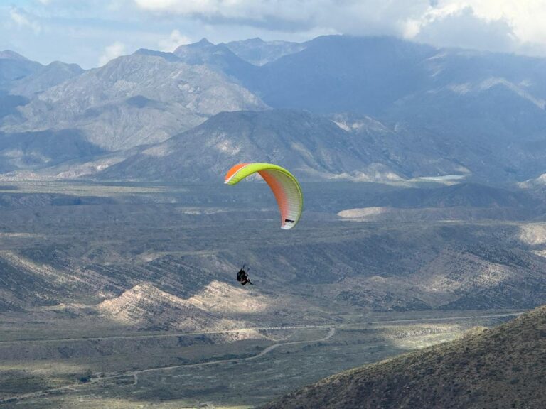 WhatsApp Image 2025-11-10 at 11.36.02 AM